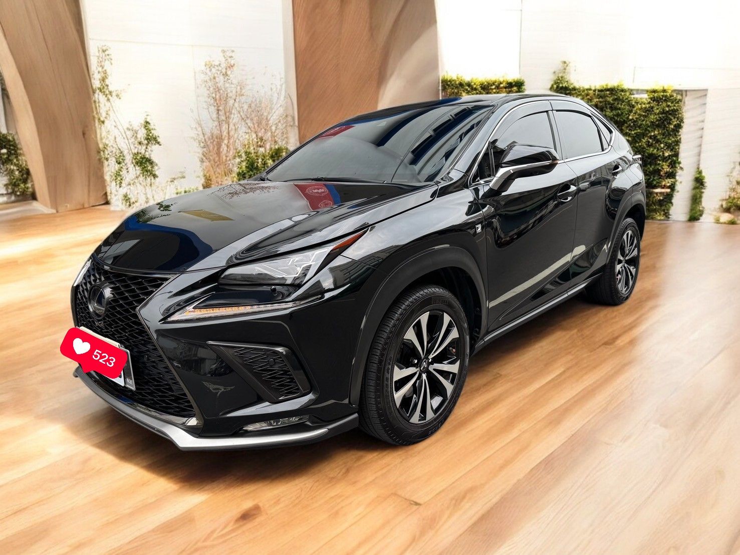 NX300